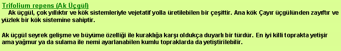 Metin Kutusu: Trifolium repens (Ak gl)Ak gl, ok yllktr ve kk sistemleriyle vejetatif yolla retilebilen bir eittir. Ana kk ayr glnden zayftr ve yzlek bir kk sistemine sahiptir.Ak gl seyrek gelime ve byme zellii ile kurakla kar olduka duyarl bir trdr. En iyi killi toprakta yetiir ama yamur ya da sulama ile nemi ayarlanabilen kumlu topraklarda da yetitirilebilir.